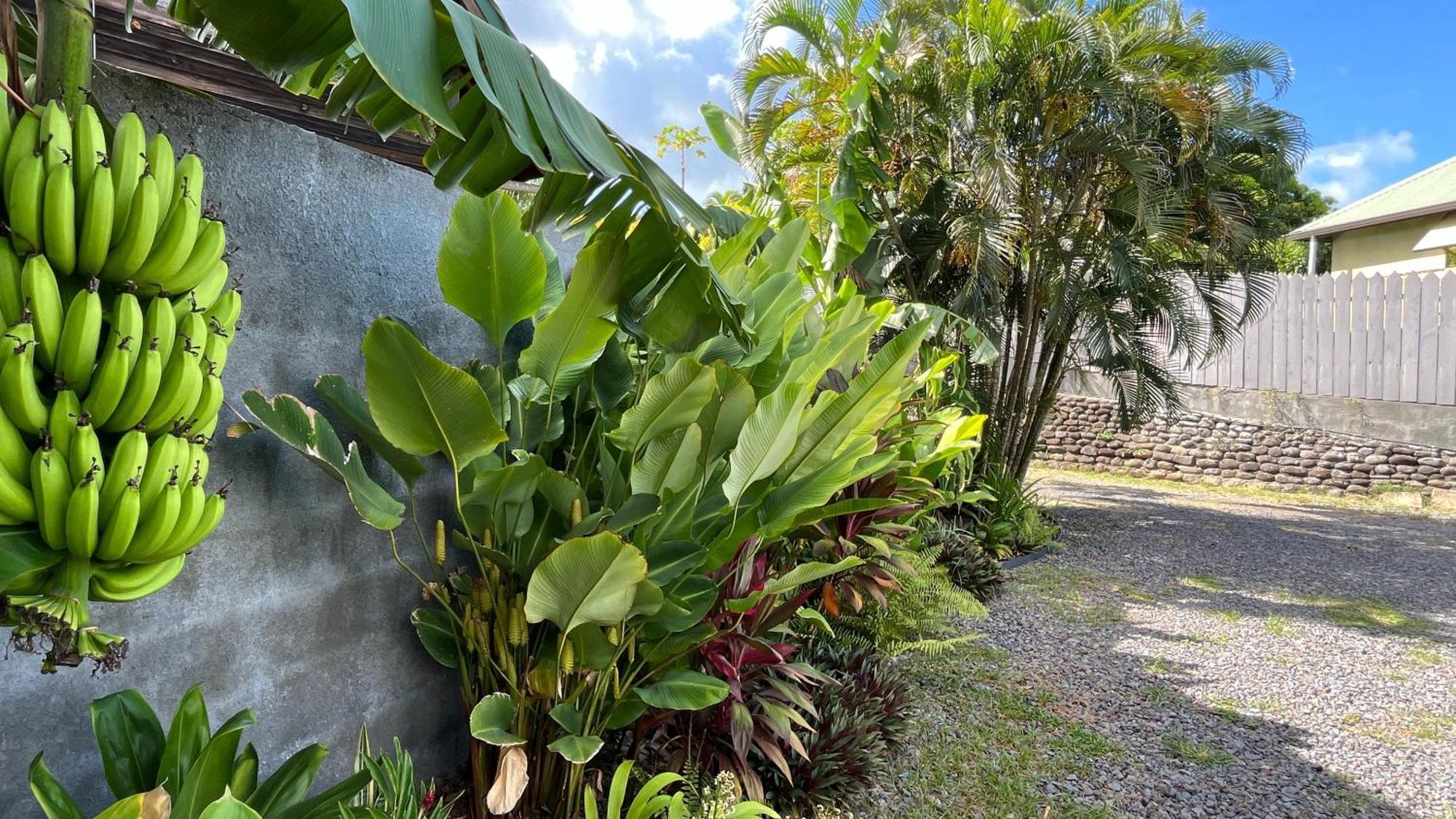 Ononui Lodge Airport, Ocean-View, Private Bathroom And Balcony, Free Wifi And Parking, On-Site Car Rental Faaa Exteriör bild